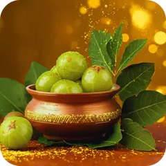 Amla — Ayurvedic herb