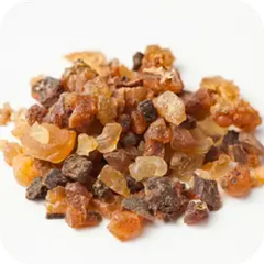 Kanchanar — Ayurvedic herb