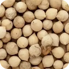 Karupala — Ayurvedic herb