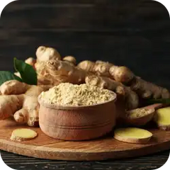 Sunthi (Dry Ginger) — Ayurvedic herb
