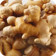 Sunthi — Ayurvedic herb